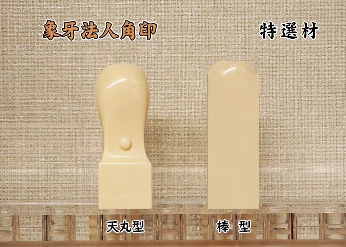 法人印鑑 角印 象牙(特選) 24mm【送料・代引き手数料無料】