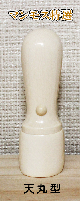 法人印鑑 実印 マンモス(特選) 18mm天丸型 【送料・代引き手数料無料】