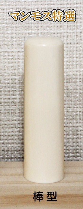 法人印鑑 実印 マンモス(特選) 16.5mm棒丸型【送料・代引き手数料無料】